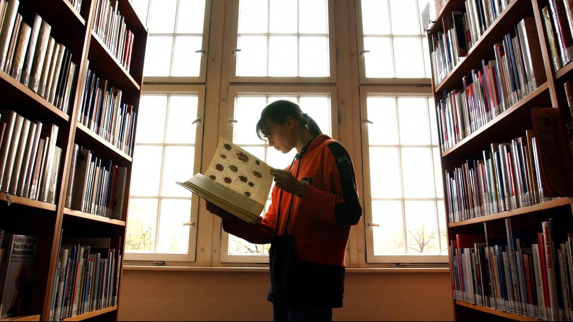 Zwischen Bücherregalen der Stadt- und Regionalbibliothek in Frankfurt (Oder) steht ein Mädchen und blättert in einem Tierbuch. Zwischen Bücherregalen der Stadt- und Regionalbibliothek in Frankfurt (Oder) steht ein Mädchen und blättert in einem Tierbuch.