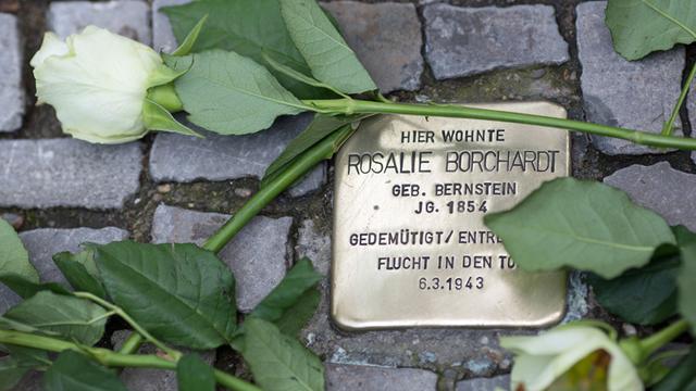 Eine Blume liegt neben einem "Stolperstein" in Berlin. Mit einem Rundgang und einer Putzaktion am 09.11.2013 wollen die Koordinierungsstelle Stolpersteine Berlin und Prominente dazu aufrufen, die Erinnerung an die Opfer des Nationalsozialismus zu wahren.