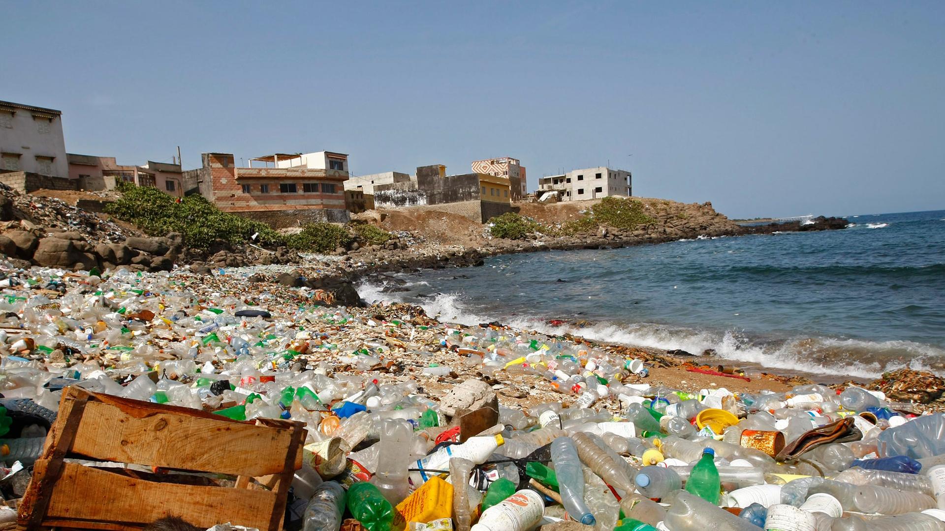 Plastikmüll am Strand von Dakar, Senegal. Im Vordergrund sitzt eine magere Katze