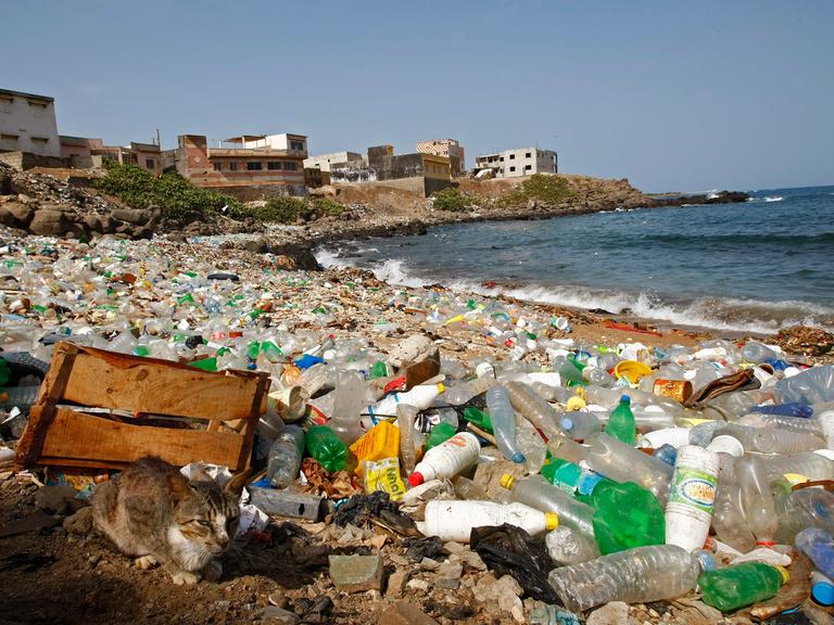Plastikmüll am Strand von Dakar, Senegal. Im Vordergrund sitzt eine magere Katze