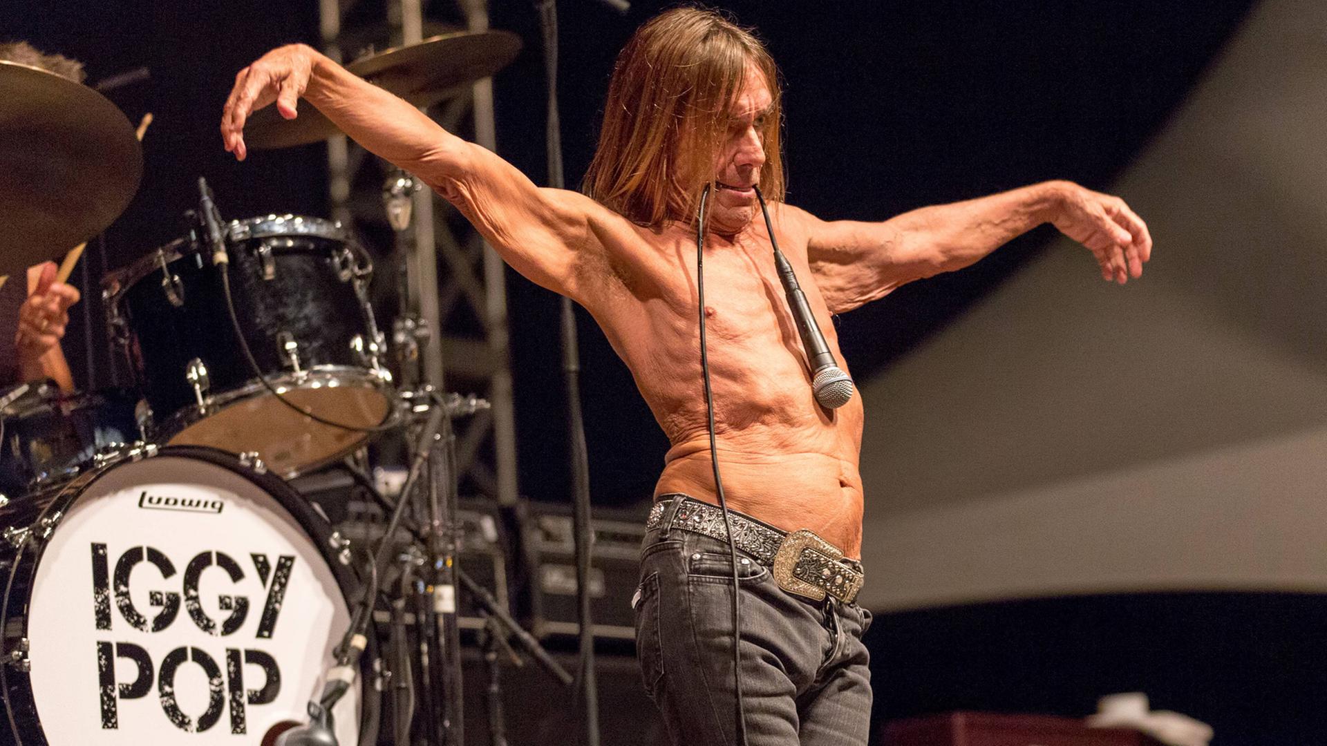 Der Musiker Iggy Pop auf einer Konzertbühne im Jahr 2015. Der Musiker Iggy Pop auf einer Konzertbühne im Jahr 2015.