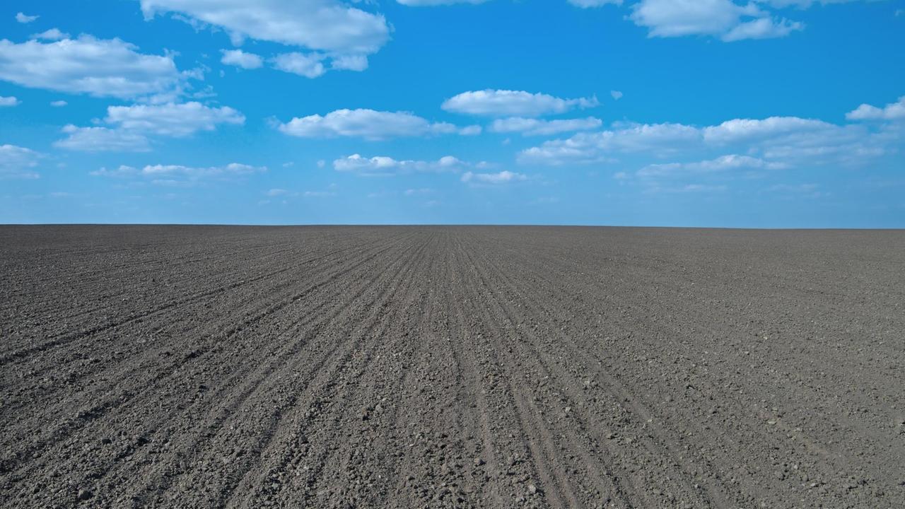 Frisch eingesätes Feld mit Humus, Frisch eingesätes Feld mit Humus,