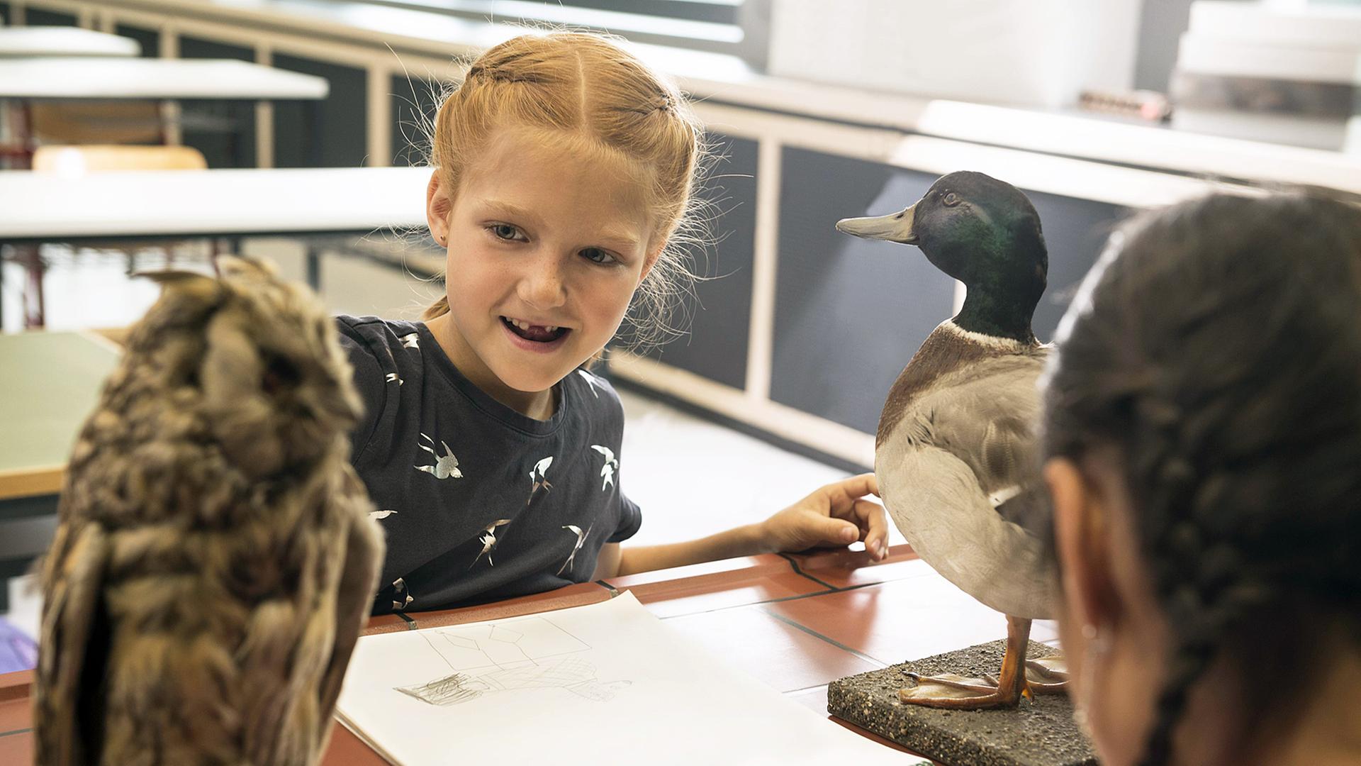 Schulkinder in einer bayerischen Grundschule. Schulkinder in einer bayerischen Grundschule.