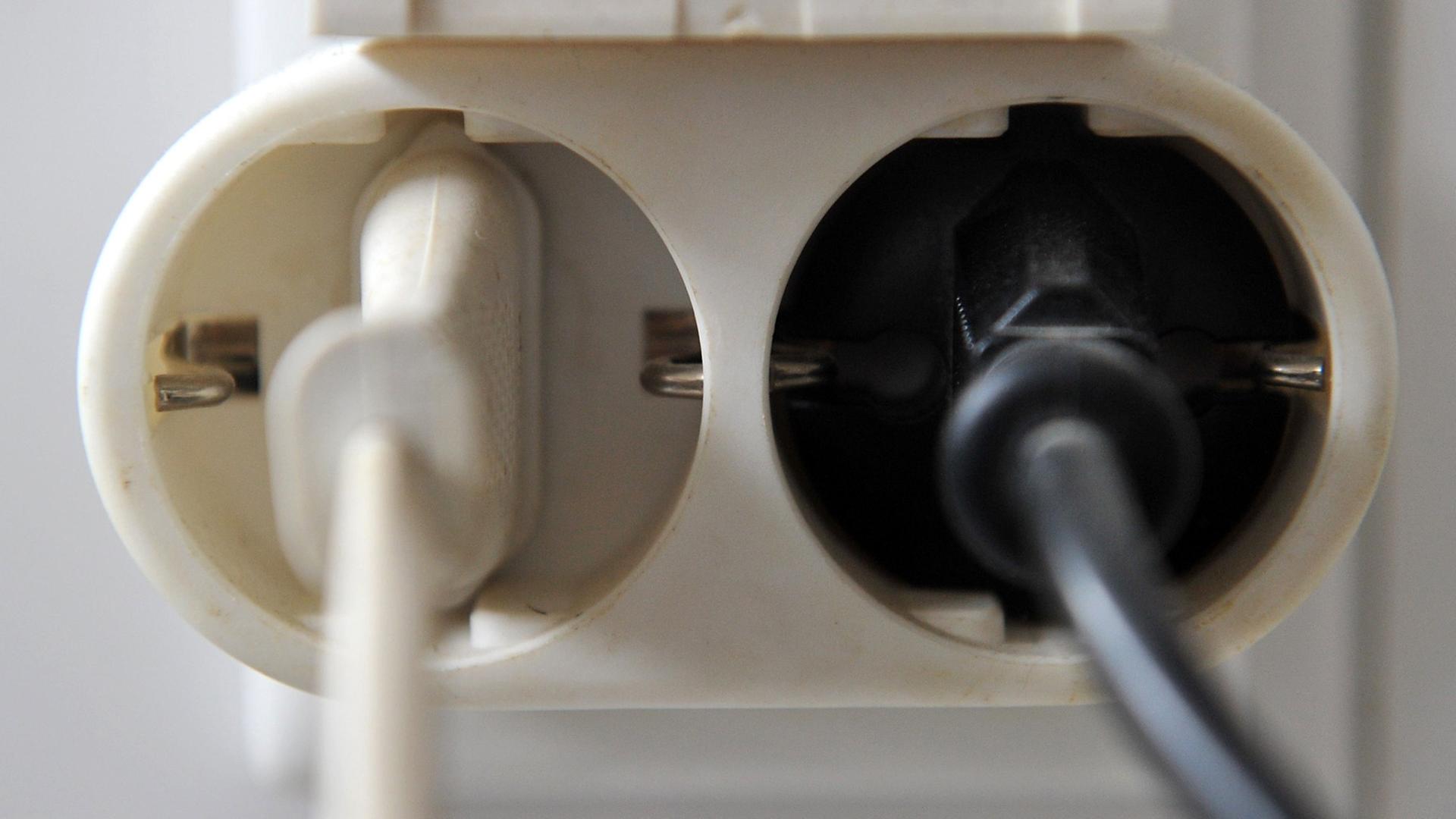 Zwei Stromstecker sind in einem Zweifachstecker befestigt. Zwei Stromstecker sind in einem Zweifachstecker befestigt.