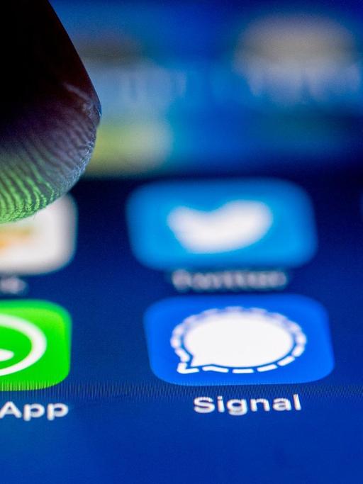 Die App-Logos fuer die Messenger WhatsApp, Signal und Telegram auf einem iPhone Smartphone (gestellte Szene).