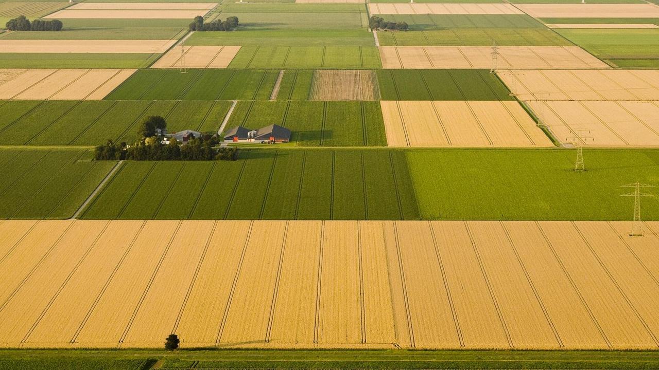 Luftaufnahme einer monotonen Feldlandschaft in Nordholland Luftaufnahme einer monotonen Feldlandschaft in Nordholland