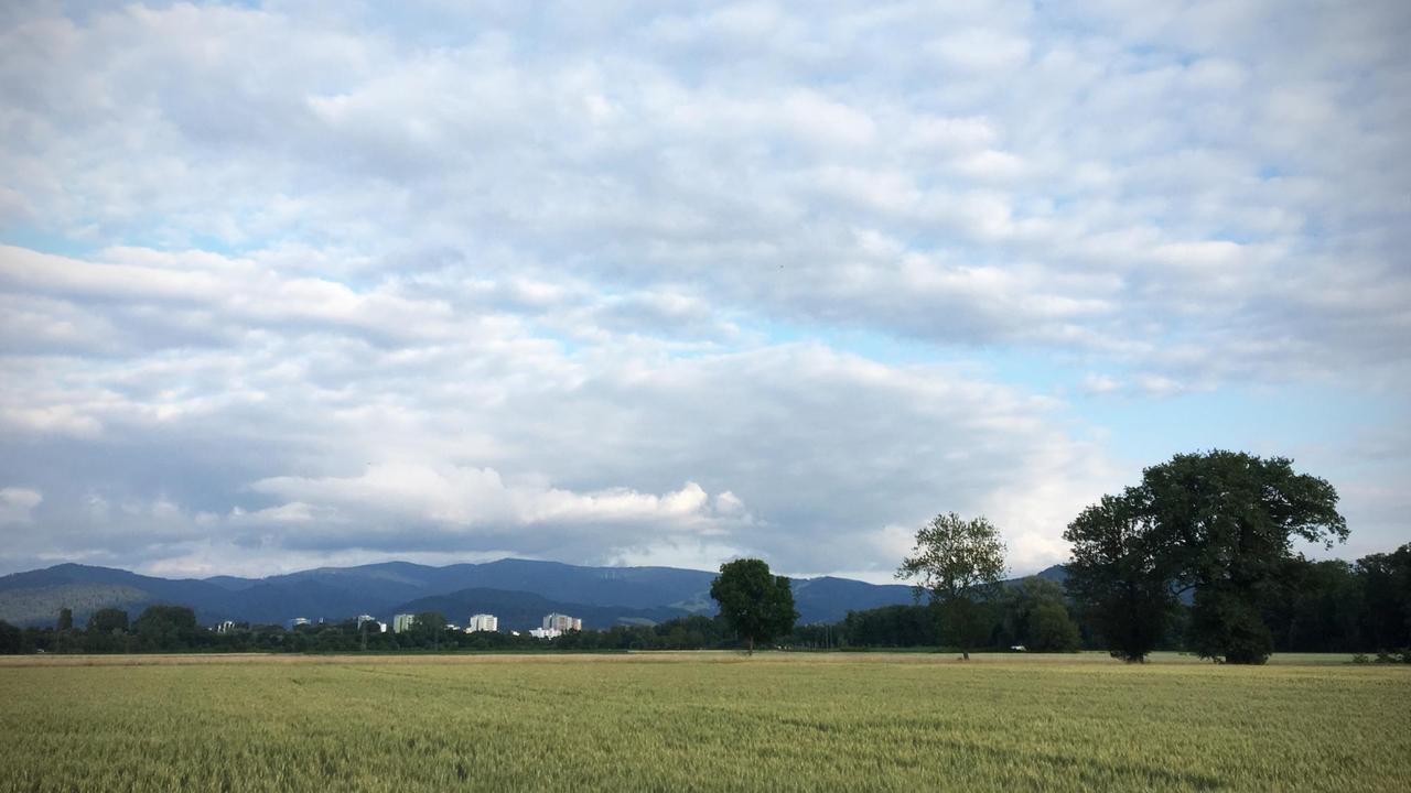 Landschaft Freiburg-Dietenbach Landschaft Freiburg-Dietenbach