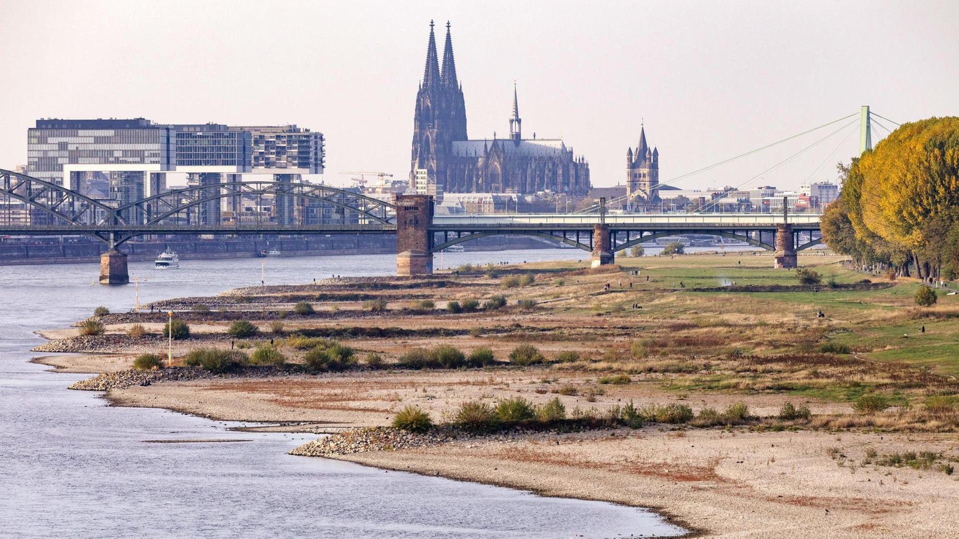 Der Rhein trägt wenig Wasser, im Hintergrund ist der Kölner Dom. Der Rhein trägt wenig Wasser, im Hintergrund ist der Kölner Dom.