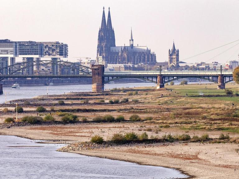 Der Rhein trägt wenig Wasser, im Hintergrund ist der Kölner Dom. 