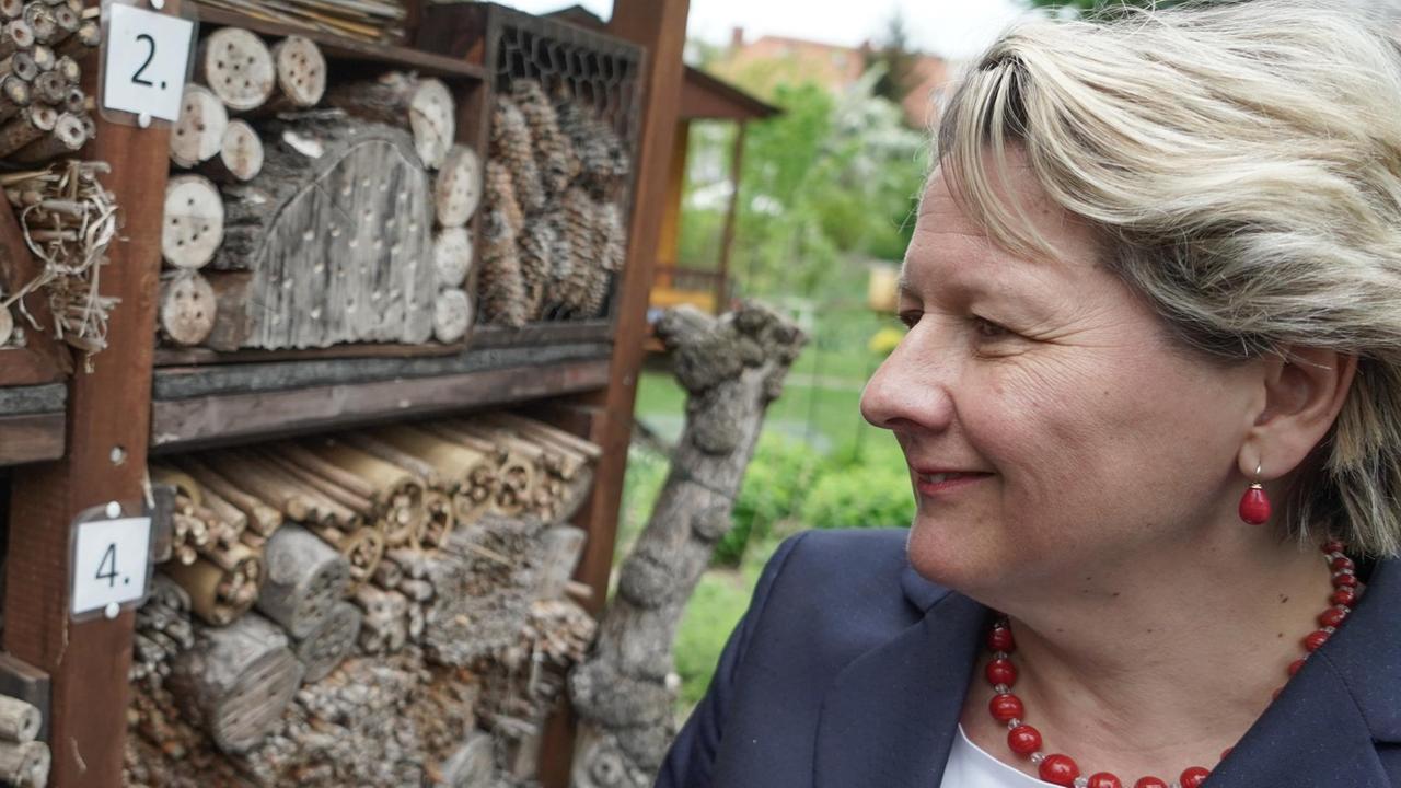 02.05.2018, Berlin: Bundesumweltministerin Svenja Schulze (SPD, r) besucht einen Wildbienen-Schaugarten in Berlin-Treptow und steht vor einem Insektenhotel. Schulze informierte sich dort über die Notwendigkeiten für einen besseren Wildbienenschutz. Der Schaugarten wurde von der Initiative _Deutschland summt_ zusammen mit dem Verband der Gartenfreunde Berlin-Treptow e.V. errichtet und verdeutlicht, wie Gärten und Natur dem Überleben der Wildbienen zu Gute kommen können. Foto: Jörg Carstensen/dpa | Verwendung weltweit 02.05.2018, Berlin: Bundesumweltministerin Svenja Schulze (SPD, r) besucht einen Wildbienen-Schaugarten in Berlin-Treptow und steht vor einem Insektenhotel. Schulze informierte sich dort über die Notwendigkeiten für einen besseren Wildbienenschutz. Der Schaugarten wurde von der Initiative _Deutschland summt_ zusammen mit dem Verband der Gartenfreunde Berlin-Treptow e.V. errichtet und verdeutlicht, wie Gärten und Natur dem Überleben der Wildbienen zu Gute kommen können. Foto: Jörg Carstensen/dpa | Verwendung weltweit