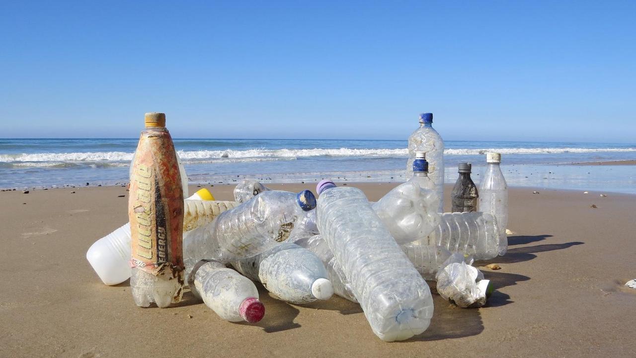 Plastikflaschen am Strand. Aufgenommen vom Verein "Küste gegen Plastik". Plastikflaschen am Strand. Aufgenommen vom Verein "Küste gegen Plastik".