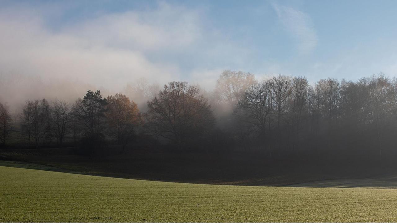 Höchst im Odenwald am 18.Dezember 2020 v.l., Sonne und Nebel, Nebeldecke am Waldrand über Höchst im Odenwald, Herbstimmung, Winter Foto: Joaquim Ferreira Höchst im Odenwald am 18.Dezember 2020 v.l., Sonne und Nebel, Nebeldecke am Waldrand über Höchst im Odenwald, Herbstimmung, Winter Foto: Joaquim Ferreira