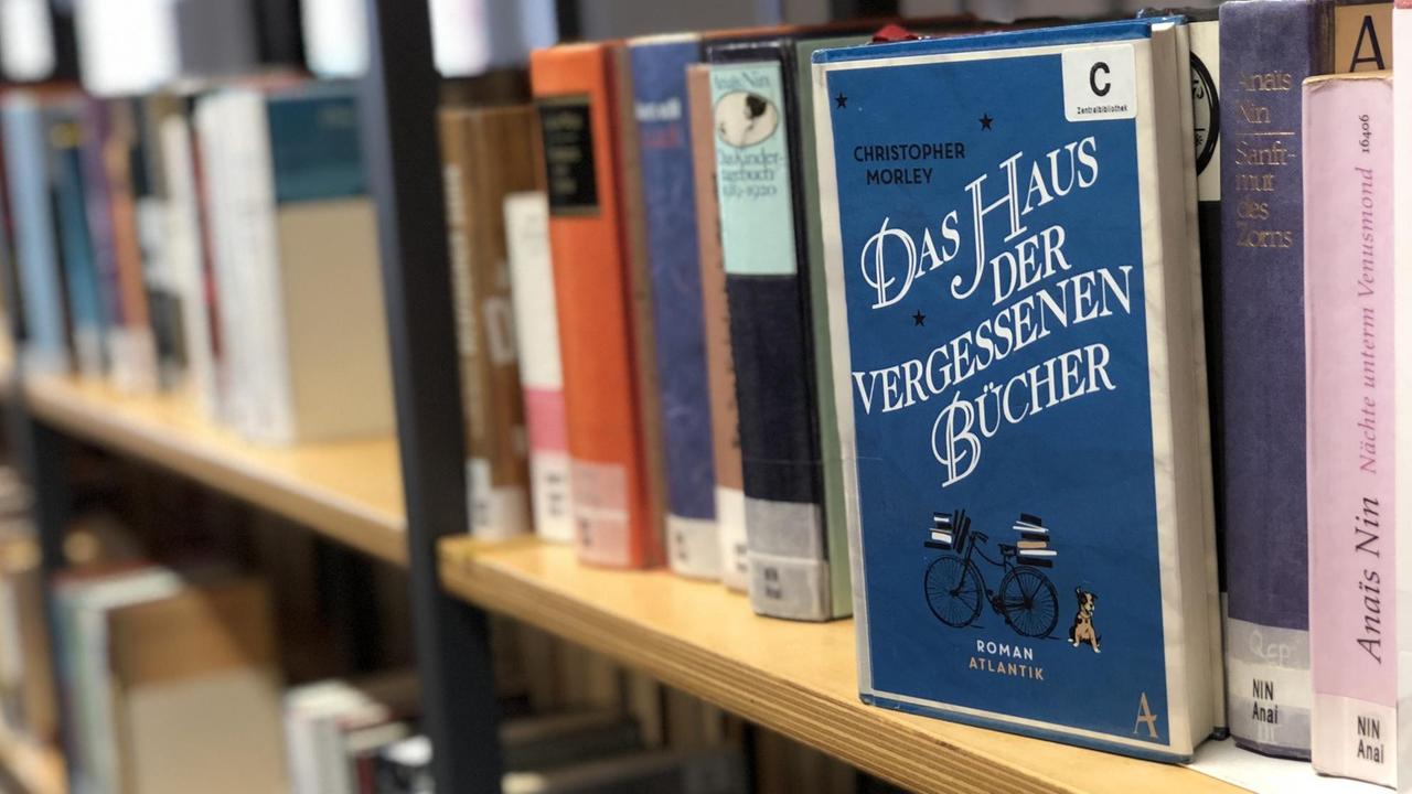 Ein Bibliotheksregal Ein Bibliotheksregal