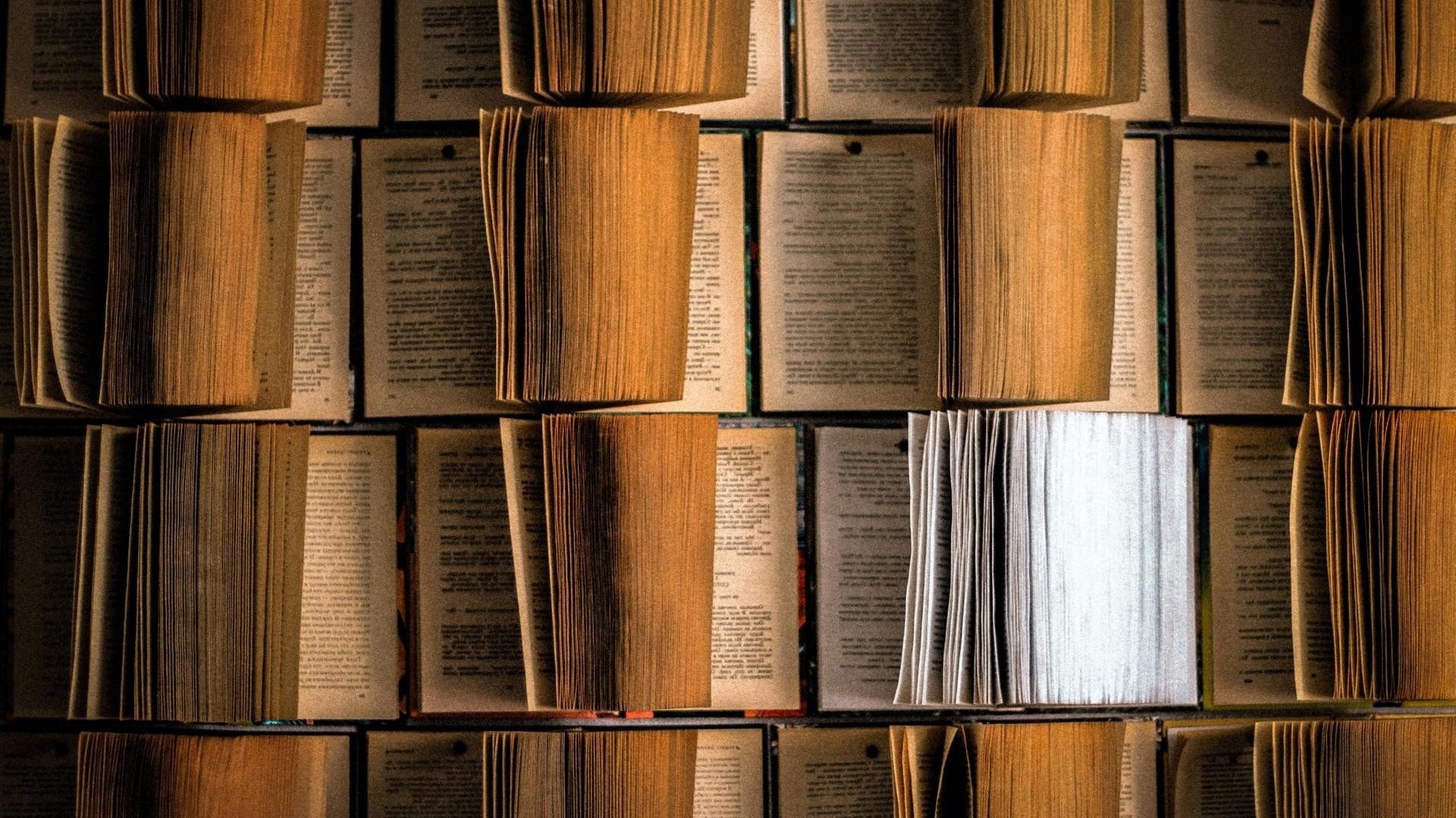 Symbolbild: Alte Bücher, mehr oder weniger vergilbt, gewellt und bestoßen Symbolbild: Alte Bücher, mehr oder weniger vergilbt, gewellt und bestoßen