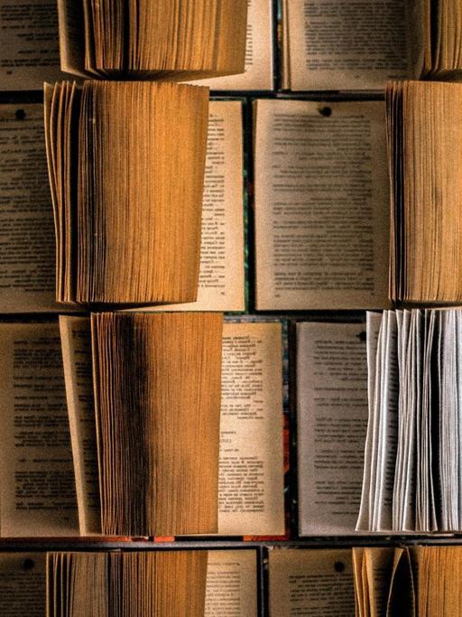 Symbolbild: Alte Bücher, mehr oder weniger vergilbt, gewellt und bestoßen