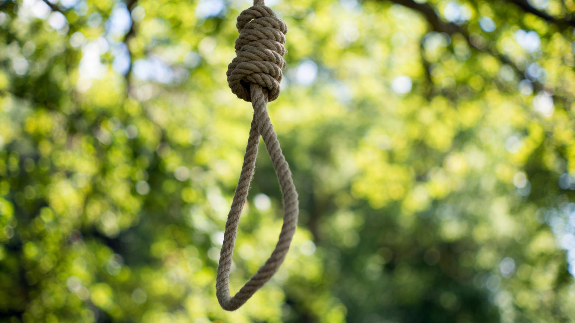 Ein Seil mit einem Henkersknoten hängt an einem Baum