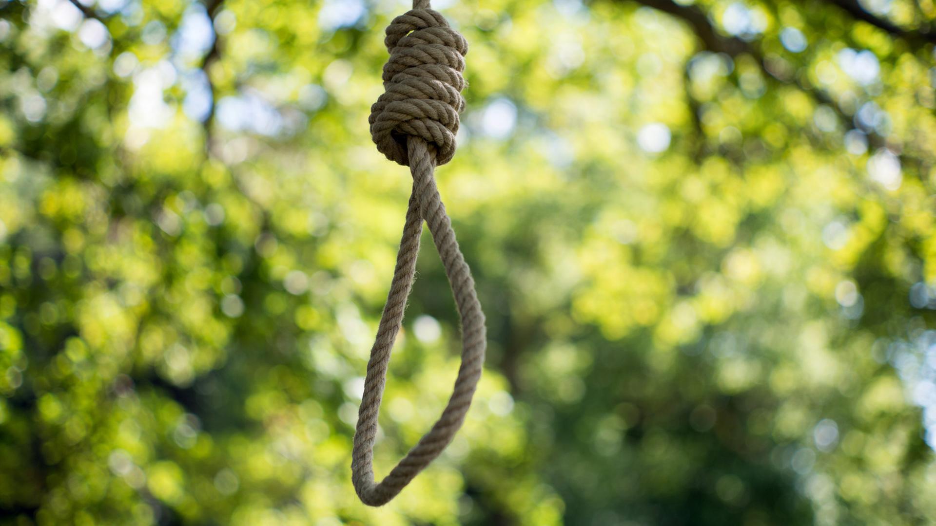 Ein Seil mit einem Henkersknoten hängt an einem Baum Ein Seil mit einem Henkersknoten hängt an einem Baum