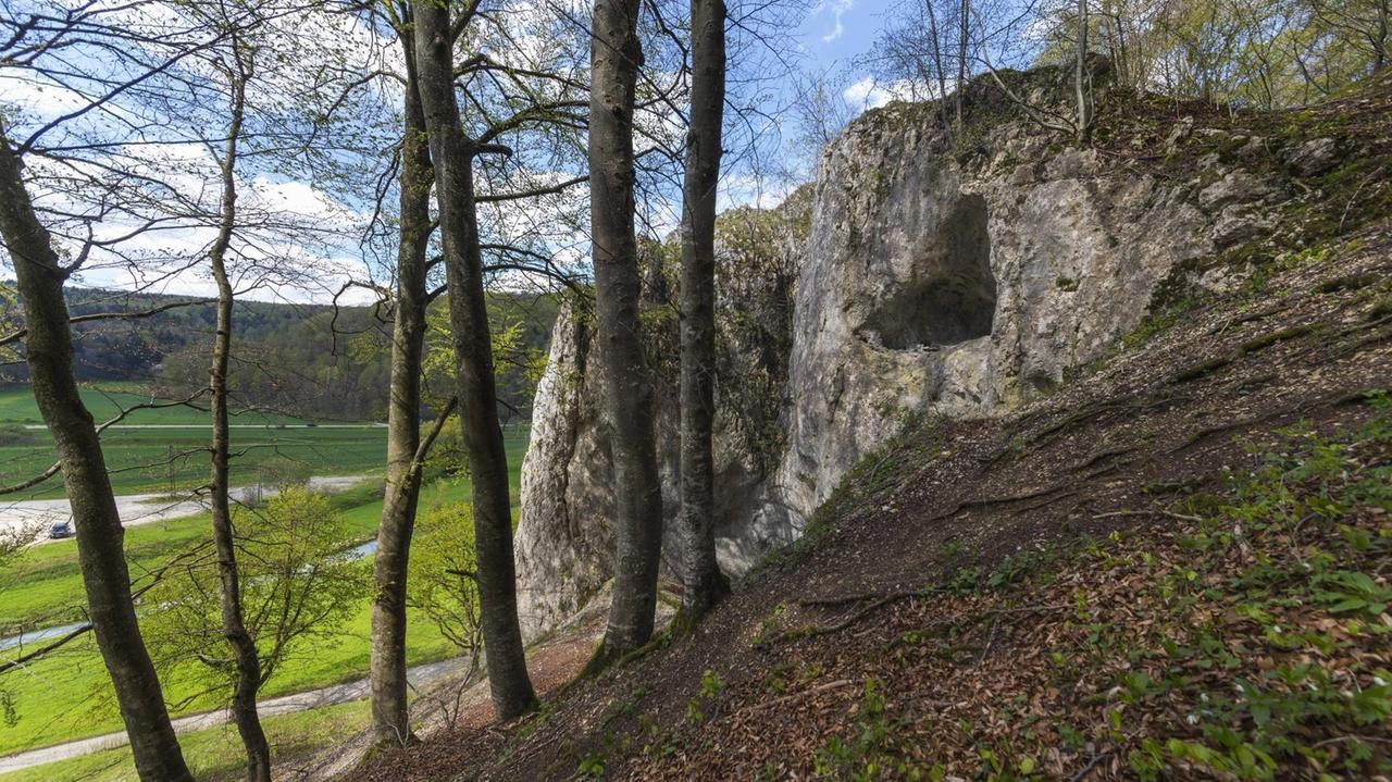 Eine Felsformation an einem Hang, der den Eingang in eine Höhle weist. Ringsum zu sehen sind einige Bäume und etwas Grünfläche.