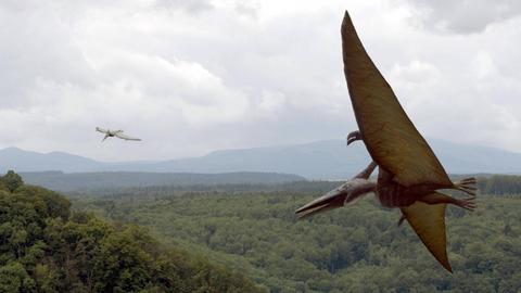 Fotomontage: Flugechsen über einer Waldlandschaft