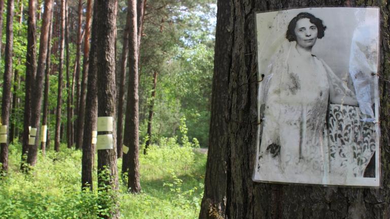 Vernichtungsort im Wald von Blagowschina Vernichtungsort im Wald von Blagowschina