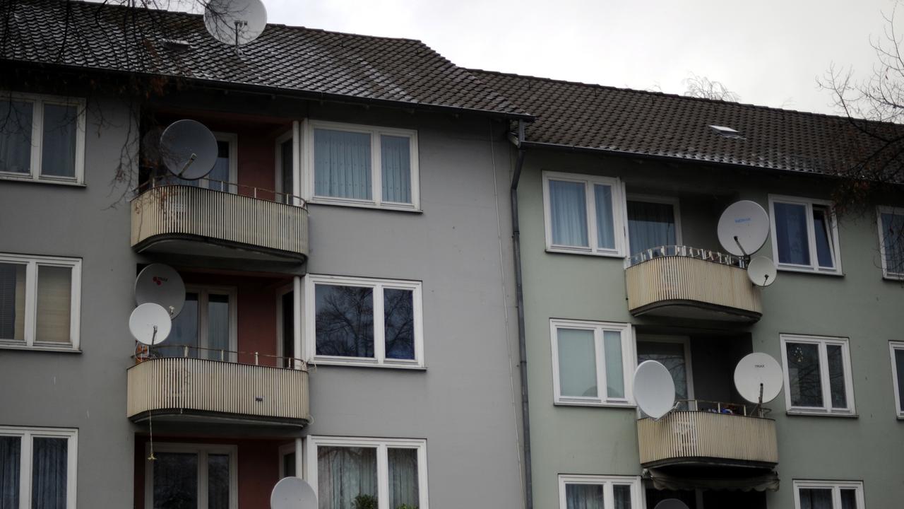 Alexander Mitscherlich Kritiker der Betonwüsten