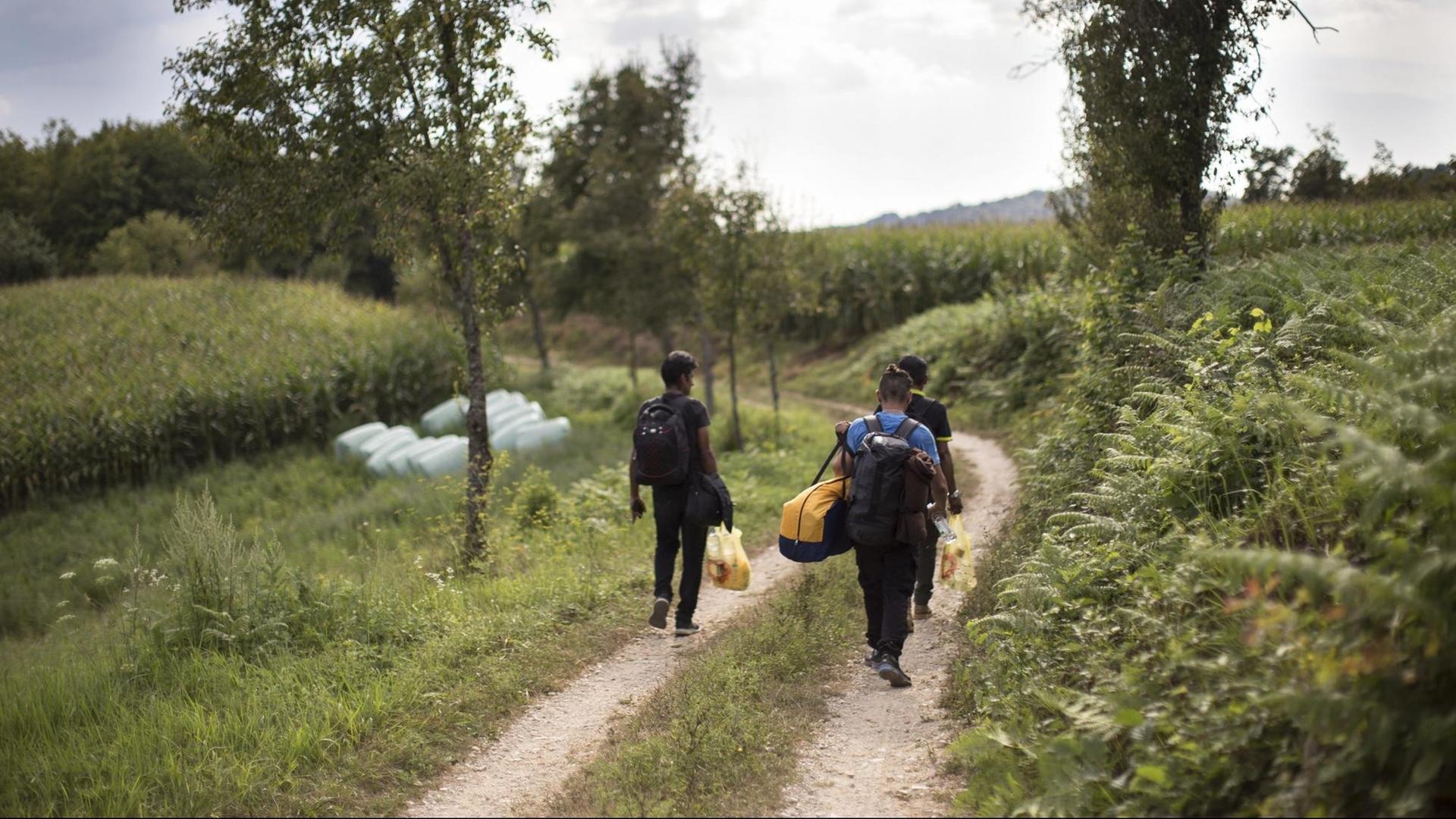 In der Nähe von Velika Kladusa, Bosnien und Herzogewina, versuchen Flüchtlinge am 13.8.2018 die kroatische Grenze zu erreichen