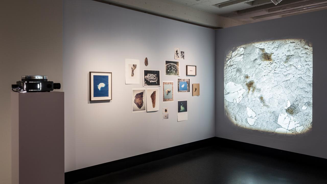 Helena Petersens Cinis Pompeii (2014-2018) Werke in der Ausstellung: Back to the Future im C/O Berlin bis 2.12.2018