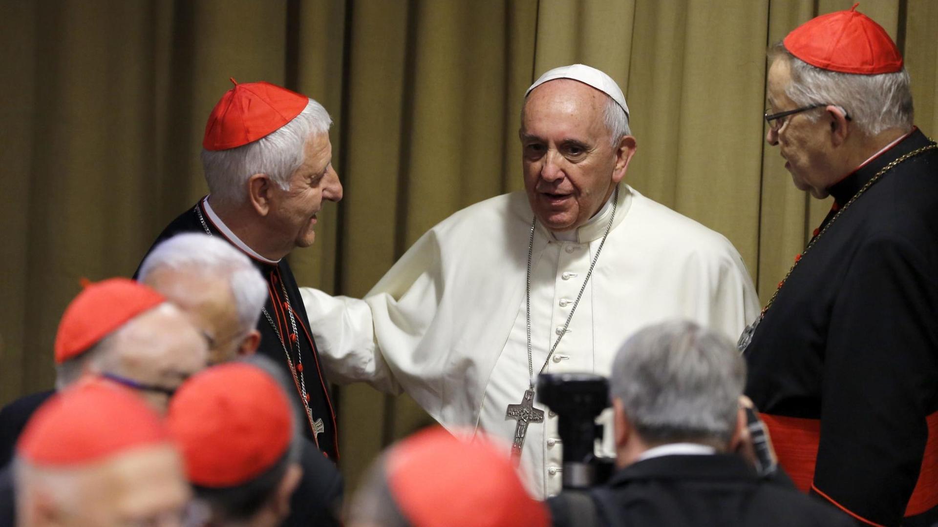 Franziskus, der Häretiker? Hier mit einigen Kardinälen auf der Familiensynode im Oktober 2014.