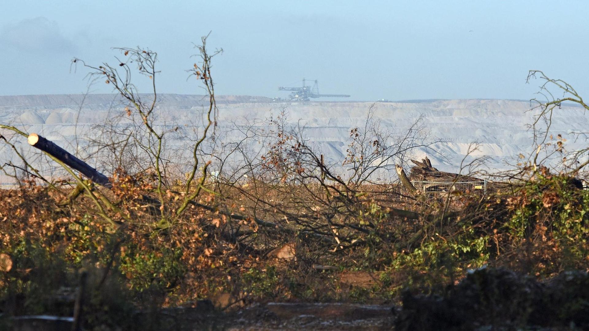 Hinter einer gerodeten Fläche im Hambacher Forst in Kerpen (Nordrhein-Westfalen) ist der Tagebau Hambach zu sehen Hinter einer gerodeten Fläche im Hambacher Forst in Kerpen (Nordrhein-Westfalen) ist der Tagebau Hambach zu sehen