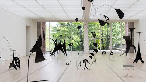 Mehrere schwarze Mobiles und Stablies von Alexander Calder sind verteilt in einem leeren Raum mit weißen Wänden.