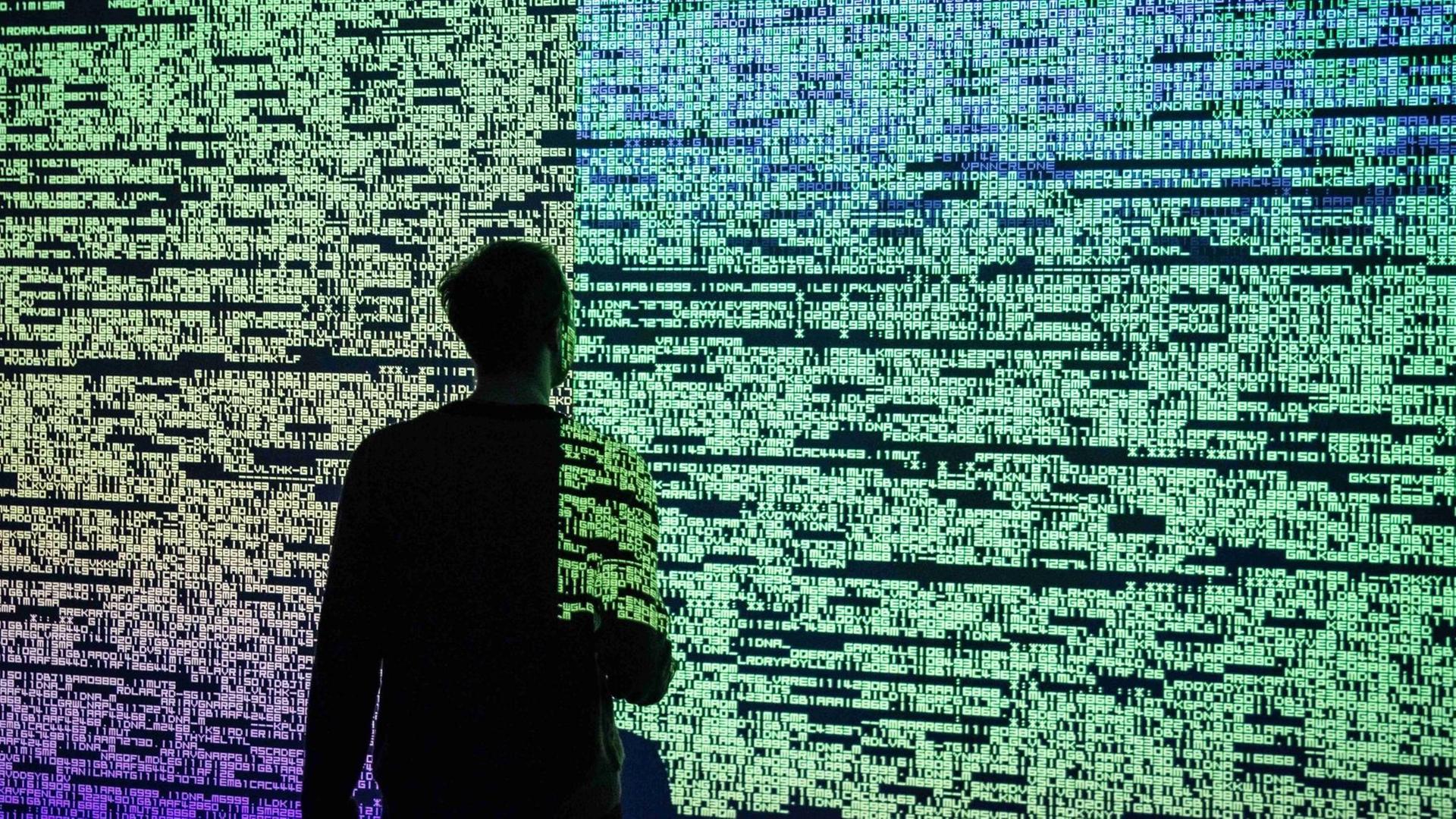 Ein Besucher betrachtet das Mulitmediaprojekt "Data Flux (12 XGA version)" des japanischen Künstlers Ryoji Ikeda im Onassis Cultural Center in Athen, aufgenommen im Februar 2019. Ein Besucher betrachtet das Mulitmediaprojekt "Data Flux (12 XGA version)" des japanischen Künstlers Ryoji Ikeda im Onassis Cultural Center in Athen, aufgenommen im Februar 2019.