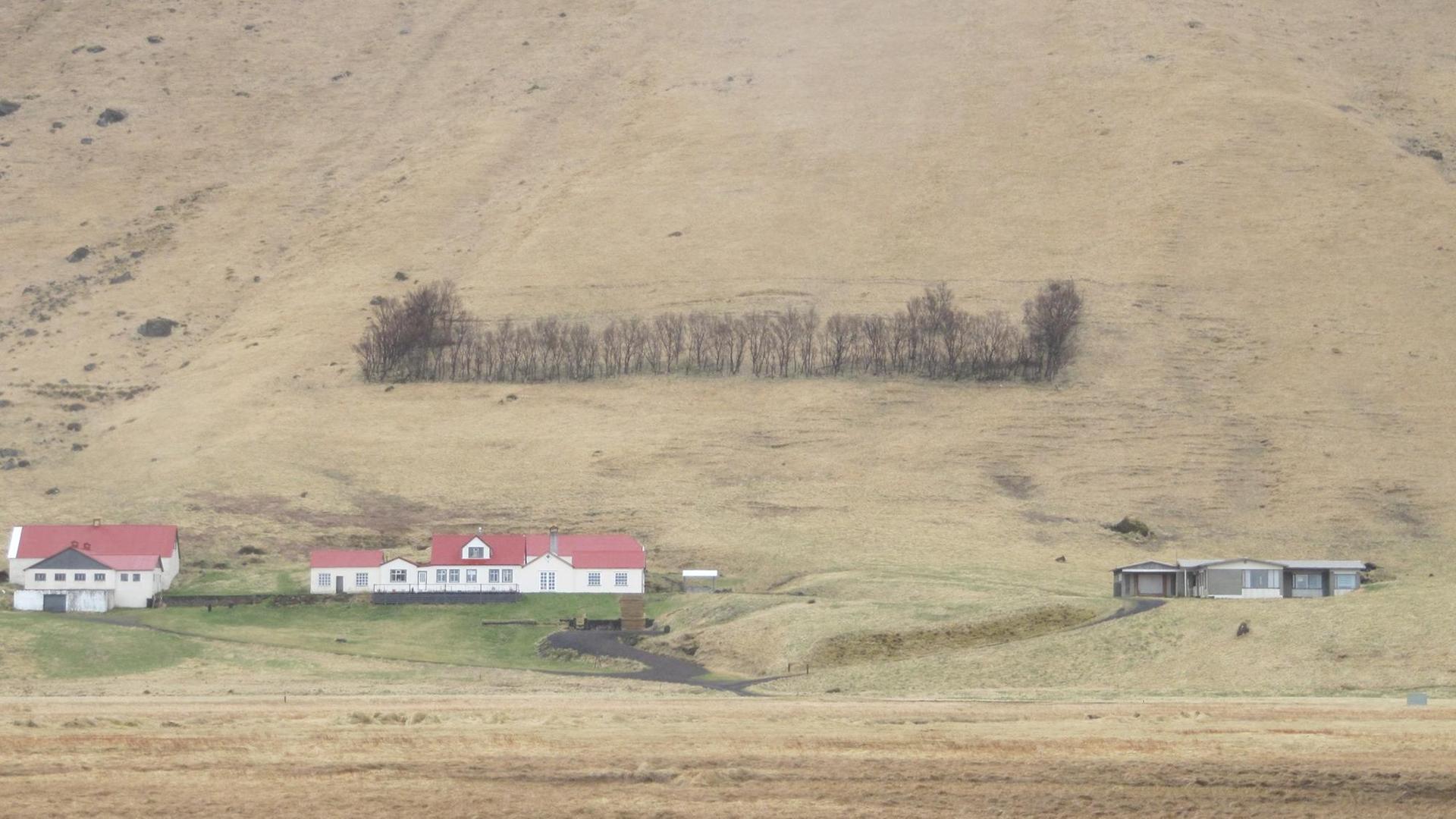 Elfenwald, der Haus vor Steinwürfen der Trolle schützen soll. Elfenwald, der Haus vor Steinwürfen der Trolle schützen soll.