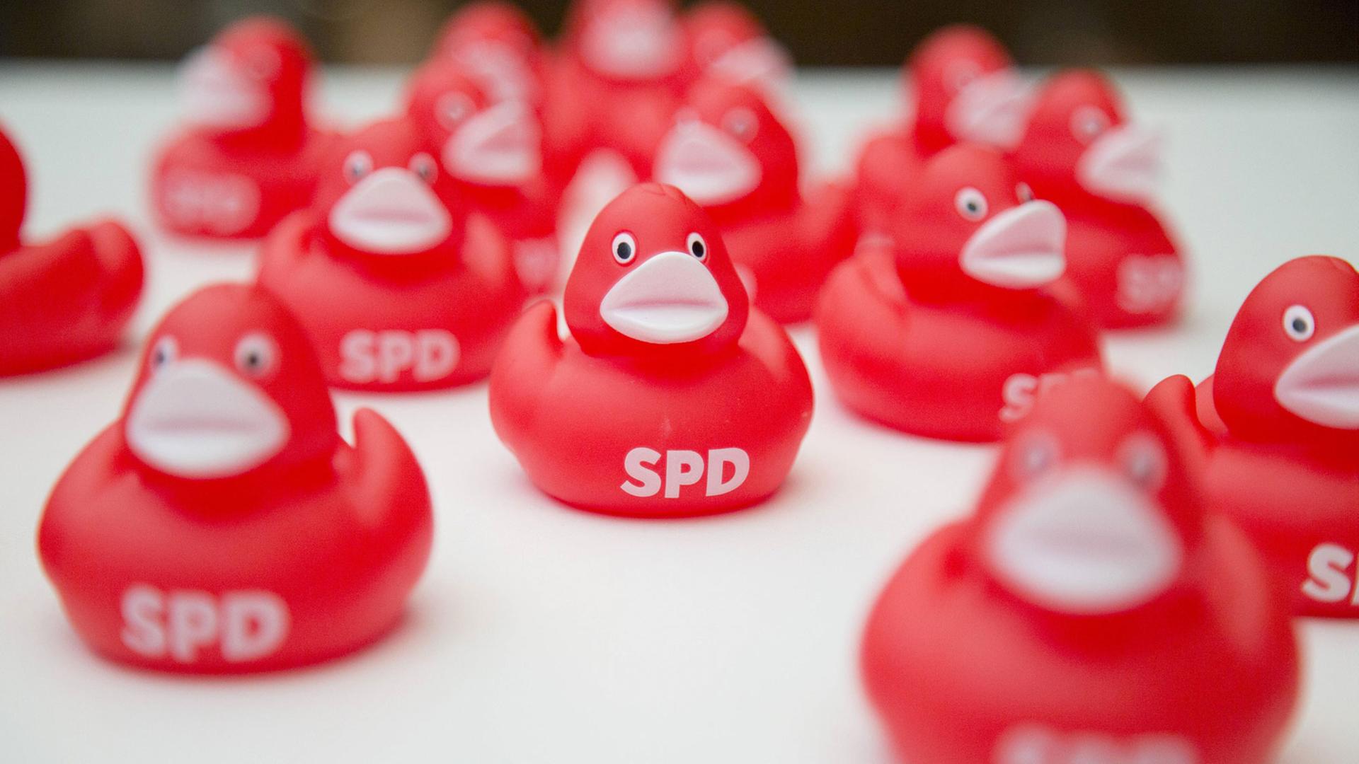 Rote Gummienten mit Parteilogo: Die SPD dümpelt in Umfragen bundesweit zwischen 20 und 25 Prozent. Rote Gummienten mit Parteilogo: Die SPD dümpelt in Umfragen bundesweit zwischen 20 und 25 Prozent.