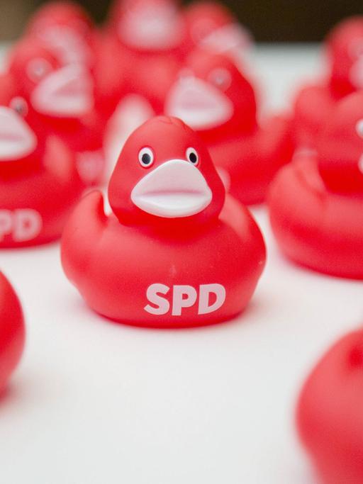 Rote Gummienten mit Parteilogo: Die SPD dümpelt in Umfragen bundesweit zwischen 20 und 25 Prozent.