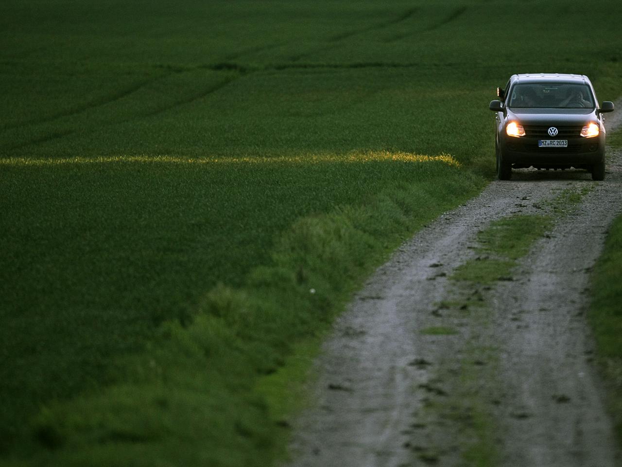 Hasenzählung: Mit Scheinwerfern werden Felder nach Hasen durchsucht. Hasenzählung: Mit Scheinwerfern werden Felder nach Hasen durchsucht.