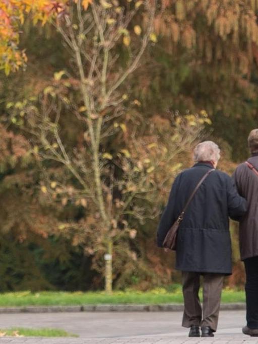 Vier Senioren gehen im Herbst auf der Bodenseeinsel Mainau spazieren.