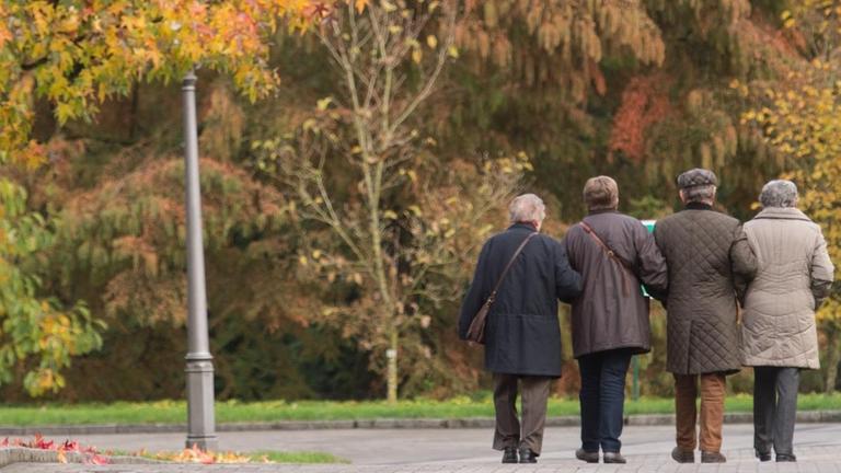 Vier Senioren gehen im Herbst auf der Bodenseeinsel Mainau spazieren. Vier Senioren gehen im Herbst auf der Bodenseeinsel Mainau spazieren.
