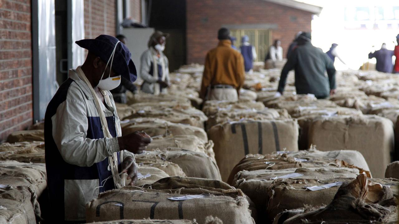 Arbeiter in einer Tabakfabrik in Harare, Simbabwe.