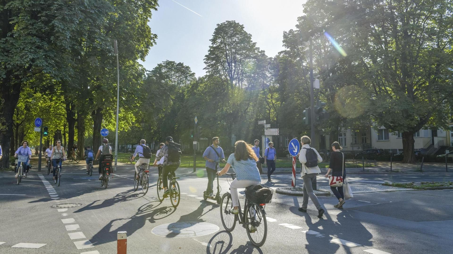 Fahrradverkehr, Poppelsdorfer Allee, Bonn Fahrradverkehr, Poppelsdorfer Allee, Bonn