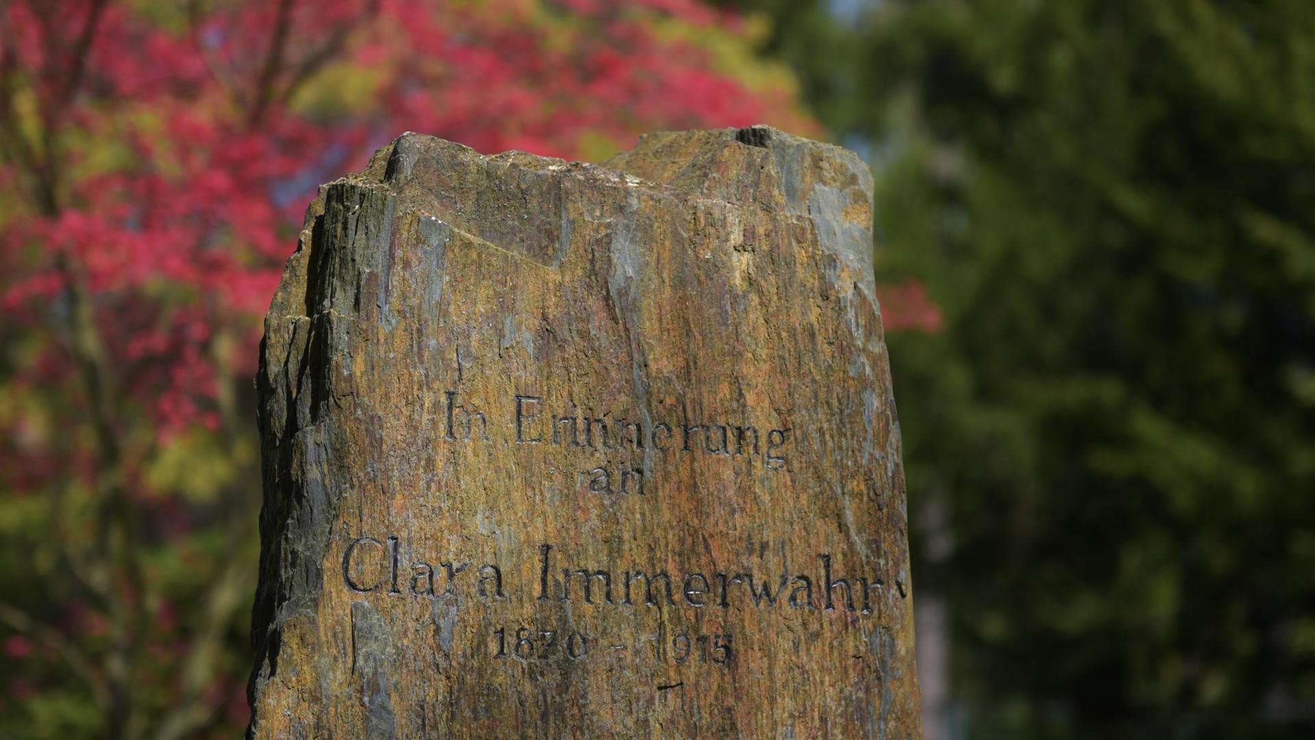 Der Gedenkstein von Clara Immerwahr (1870-1915) steht am 23.04.2015 im Garten des Fritz-Haber-Instituts der Max-Planck-Gesellschaft in Berlin-Dahlem Der Gedenkstein von Clara Immerwahr (1870-1915) steht am 23.04.2015 im Garten des Fritz-Haber-Instituts der Max-Planck-Gesellschaft in Berlin-Dahlem