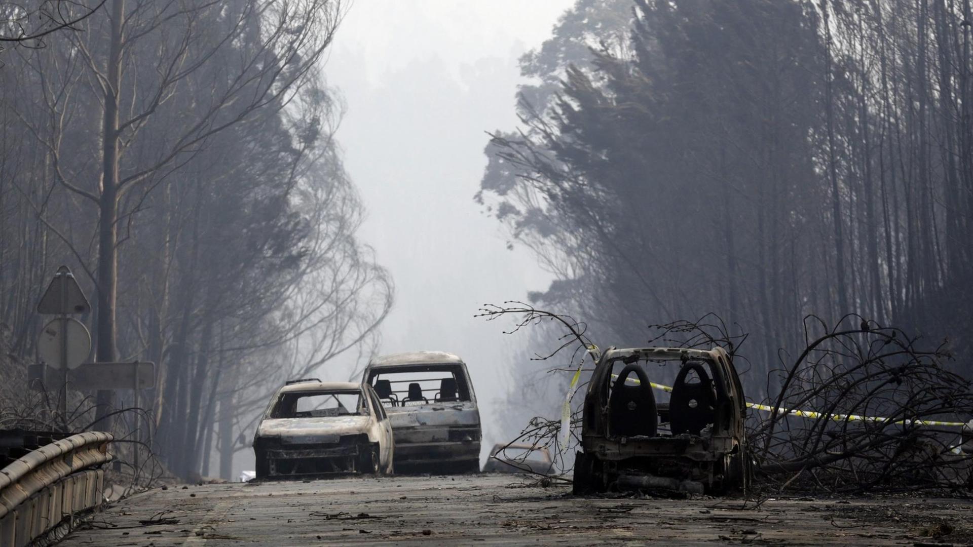 Ausgebrannte Autos stehen am 18.06.2017 auf der Landstraße zwischen Castanheira de Pera und Figueiro dos Vinhos (Portugal). Der verheerende Waldbrand mit mehreren Toten in Portugal ist der Polizei zufolge durch Blitzschlag ausgelöst worden. Ausgebrannte Autos stehen am 18.06.2017 auf der Landstraße zwischen Castanheira de Pera und Figueiro dos Vinhos (Portugal). Der verheerende Waldbrand mit mehreren Toten in Portugal ist der Polizei zufolge durch Blitzschlag ausgelöst worden.