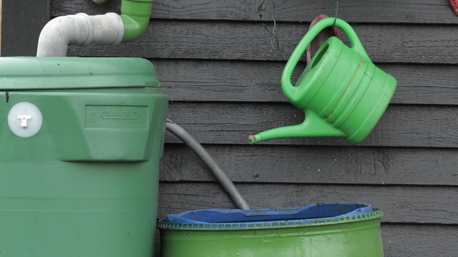 Mit Grünpflanzen bestückte Blumentöpfe aus Ton vor Gartenschlauchrolle und Regenfass Mit Grünpflanzen bestückte Blumentöpfe aus Ton vor Gartenschlauchrolle und Regenfass