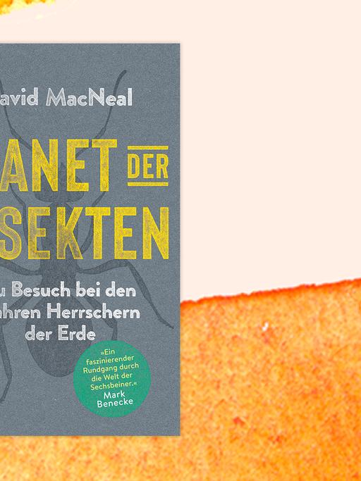 Buchcover zu David MacNeals "Planet der Insekten - Zu Besuch bei den wahren Herrschern der Erde".
