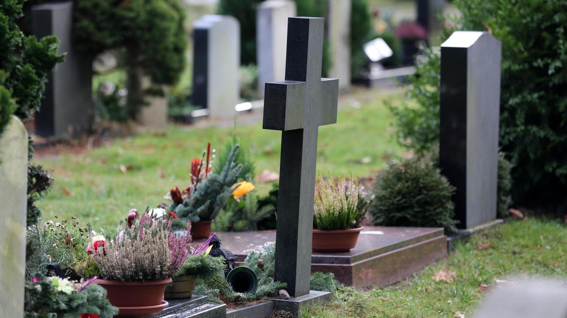 Westfriedhof Rostock. Westfriedhof Rostock.