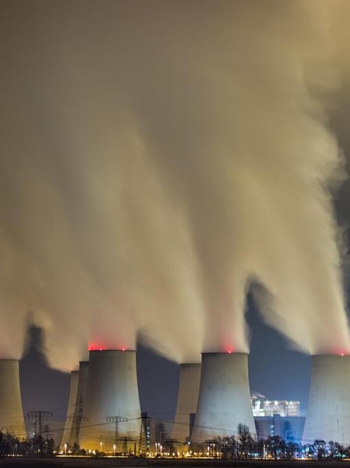 Wasserdampf steigt am 11.02.2015 aus den Kühltürmen eines Braunkohlekraftwerkes in Jänschwalde (Brandenburg).