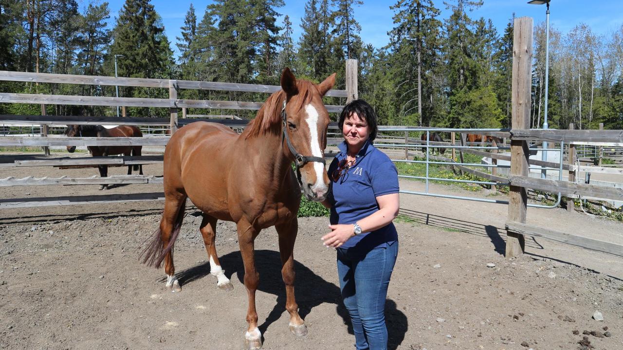 Eva Netterberg mit einem ihrer 60 Pferde. Sie betreibt eine Reitschule am Rand von Stockholm. Eva Netterberg mit einem ihrer 60 Pferde. Sie betreibt eine Reitschule am Rand von Stockholm.