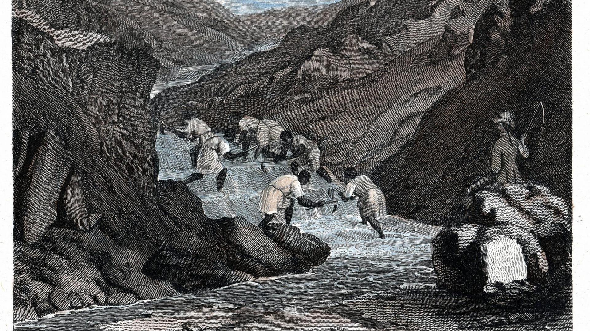 Die Zeichnung von 1814 zeigt Sklaven, die in einem Fluss Gold waschen. An der Seite sitzt ein Mann mit einer Peitsche. Die Zeichnung von 1814 zeigt Sklaven, die in einem Fluss Gold waschen. An der Seite sitzt ein Mann mit einer Peitsche.
