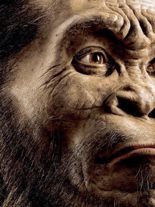 Homo naledi - ein Rekonstruktion der entdeckten Menschenart
