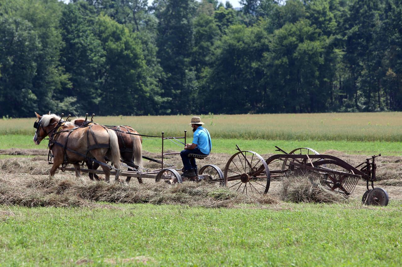 Ein Bauer der Religionsgemeinschaft Amish People bei der Heuernte Ein Bauer der Religionsgemeinschaft Amish People bei der Heuernte
