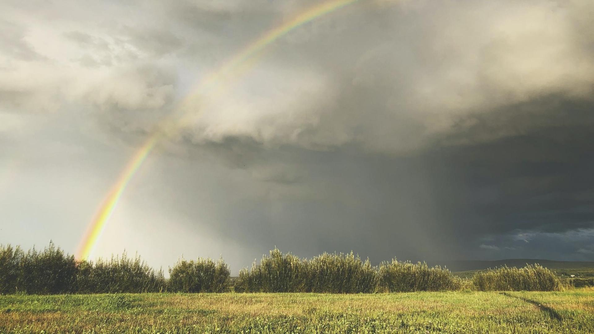 Über einer Wiese erstreckt sich ein Regenbogen. Der Himmel ist grau und stark bewölkt. Über einer Wiese erstreckt sich ein Regenbogen. Der Himmel ist grau und stark bewölkt.